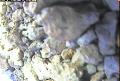 ccat0_20060914120000
