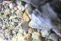ccat0_20060915105959