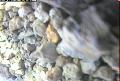 ccat0_20060915120000