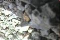 ccat0_20060915140000