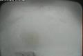 ccat0_20070101230001