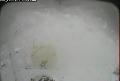 ccat0_20070102205958