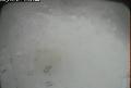ccat0_20070102215959