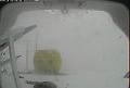 ccat0_20070115225959
