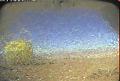 ccat0_20070518150000
