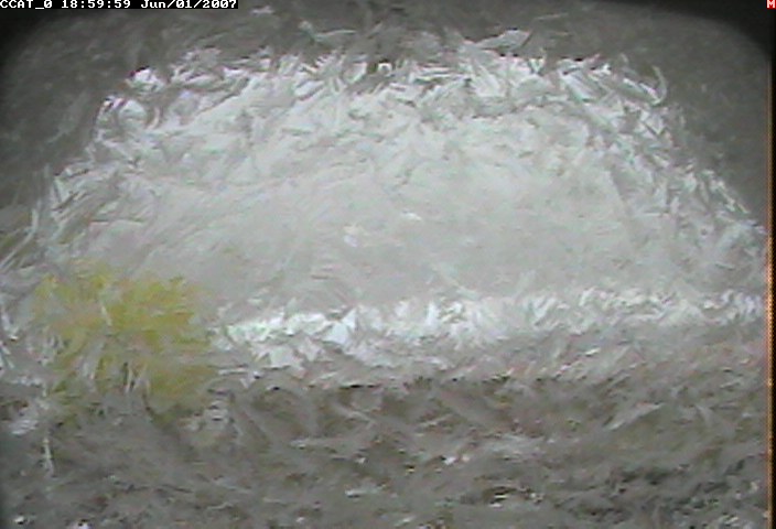 ccat0_20070601185959.jpg