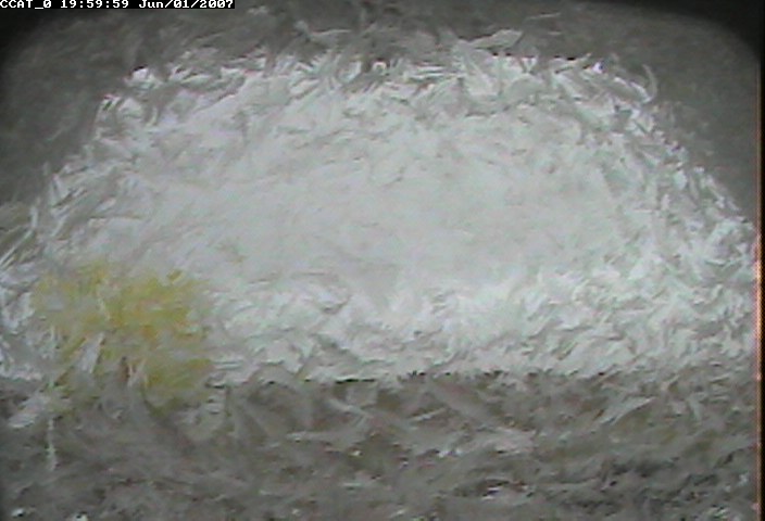 ccat0_20070601195959.jpg