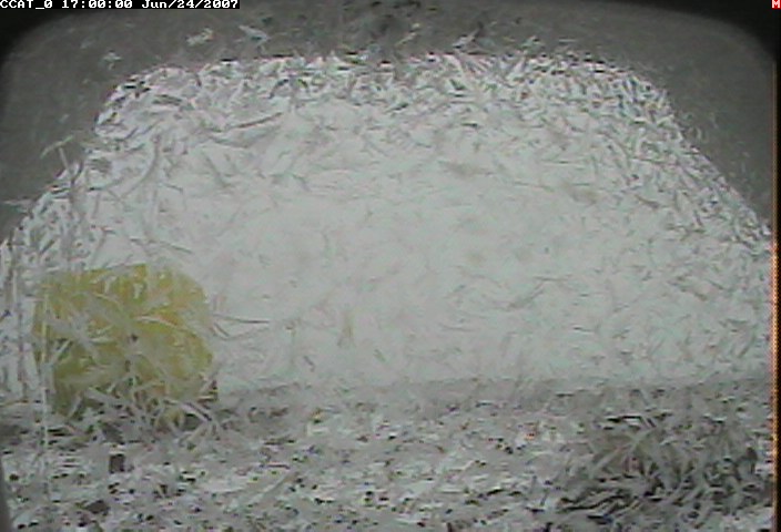 ccat0_20070624170000.jpg