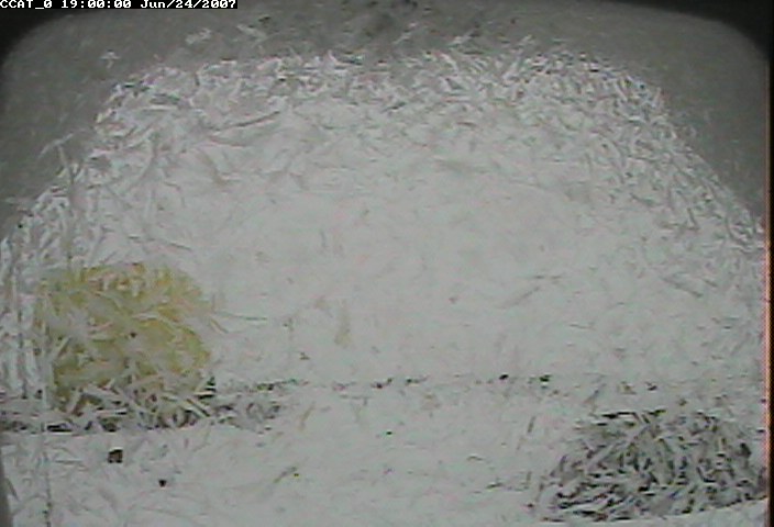 ccat0_20070624190000.jpg