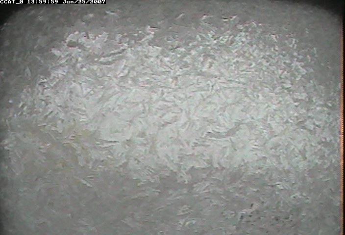 ccat0_20070625135959.jpg