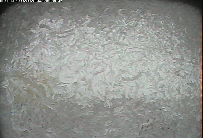 ccat0_20070625145959.jpg