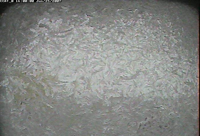 ccat0_20070625160000.jpg