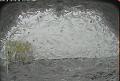 ccat0_20070601145958