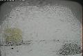 ccat0_20070624190000
