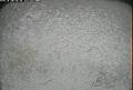 ccat0_20070625205958