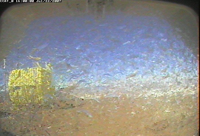 ccat0_20070722160000.jpg