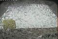 ccat0_20070708145959