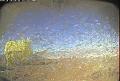 ccat0_20070722145959
