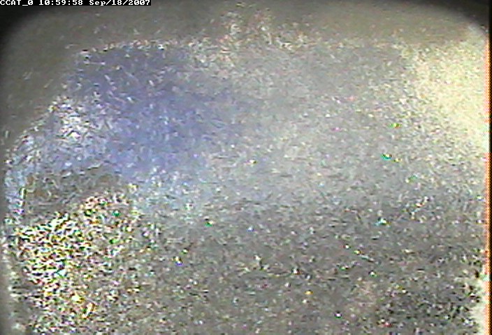 ccat0_20070918105958.jpg