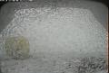ccat0_20070913210000
