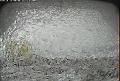 ccat0_20070914130000