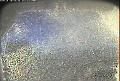 ccat0_20070918105958