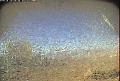 ccat0_20070918125958