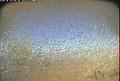 ccat0_20070918135959