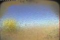 ccat0_20070918145958