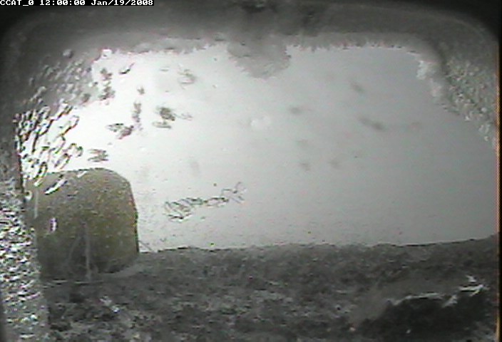 ccat0_20080119120000.jpg