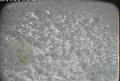 ccat0_20080103195959