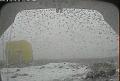 ccat0_20080109225959