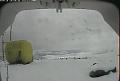 ccat0_20080113145959