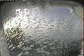 ccat0_20080119105959