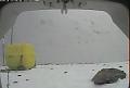 ccat0_20080122175959