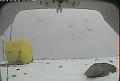 ccat0_20080122185959
