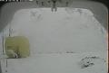 ccat0_20080122225958