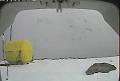 ccat0_20080123185959
