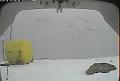 ccat0_20080123195958