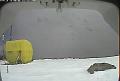 ccat0_20080125180000