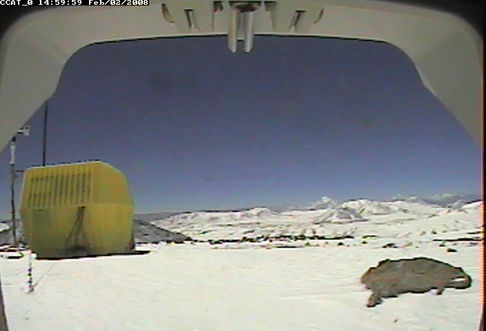 ccat0_20080202145959.jpg