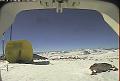 ccat0_20080202130000