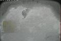 ccat0_20080404110000