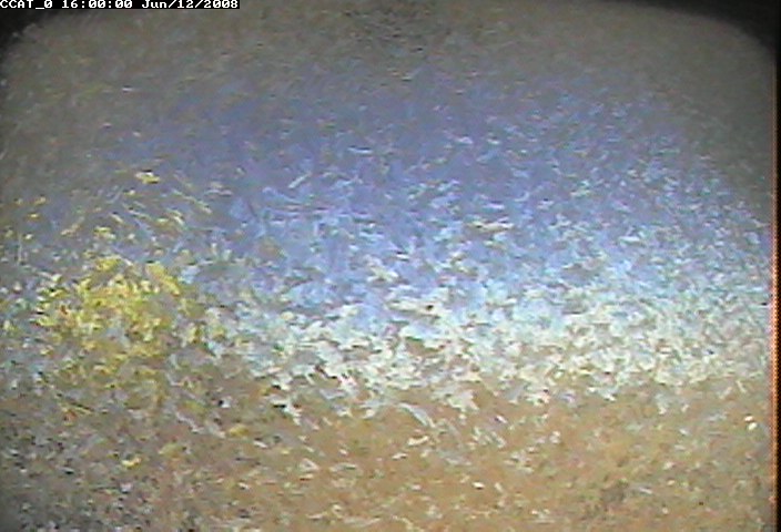 ccat0_20080612160000.jpg