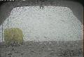 ccat0_20080611160000