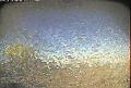 ccat0_20080612140000
