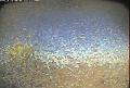 ccat0_20080612150000