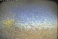 ccat0_20080612160000