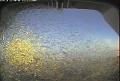 ccat0_20080612210000