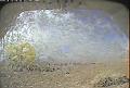 ccat0_20080905135959